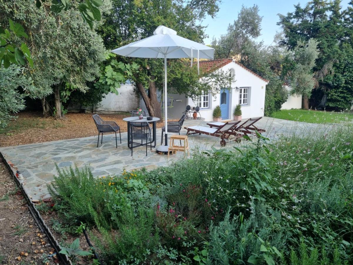 Villa Tellina Skiathos Exterior foto