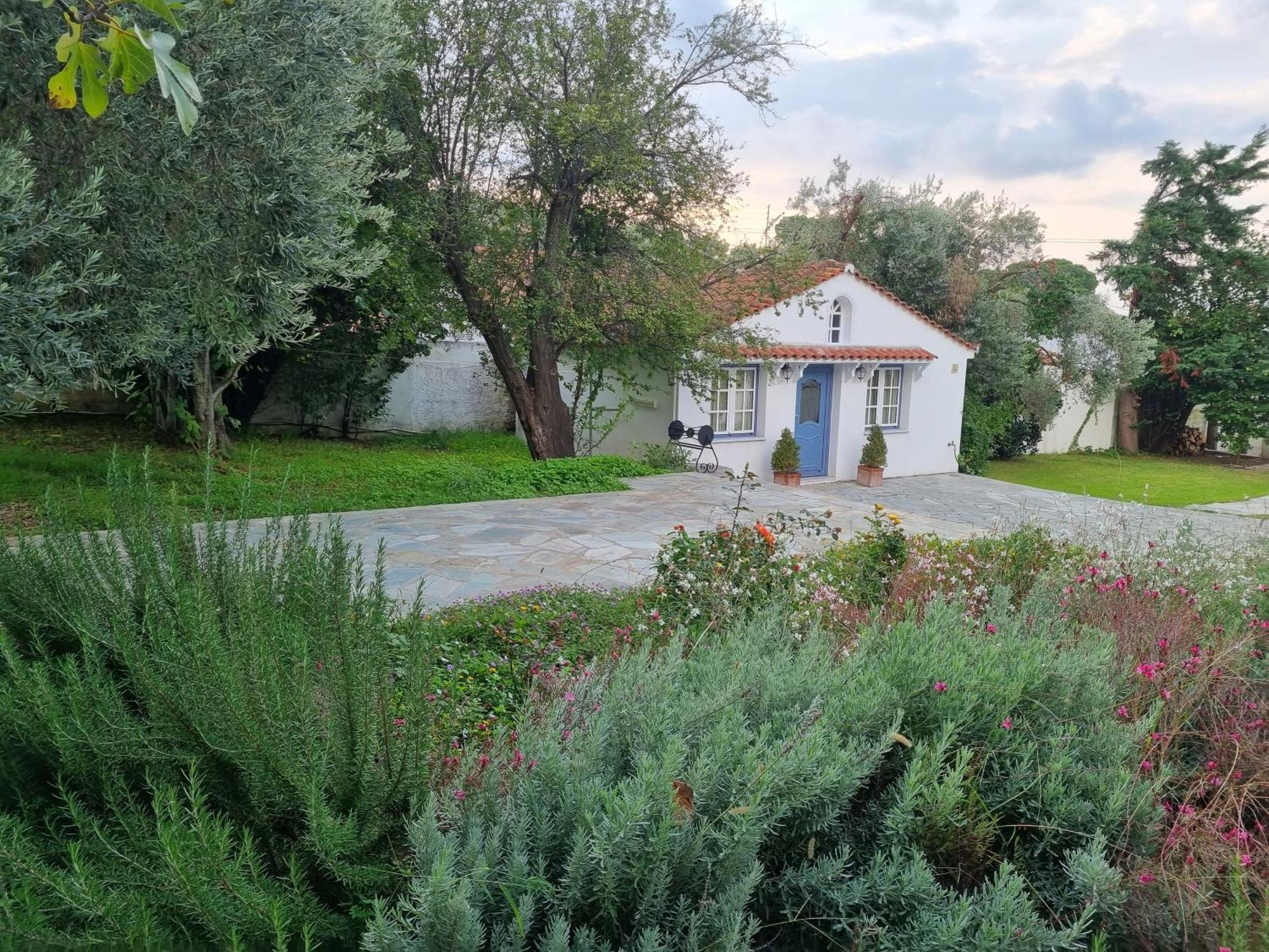 Villa Tellina Skiathos Exterior foto